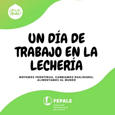 Un día de trabajo en la lechería- Colombia